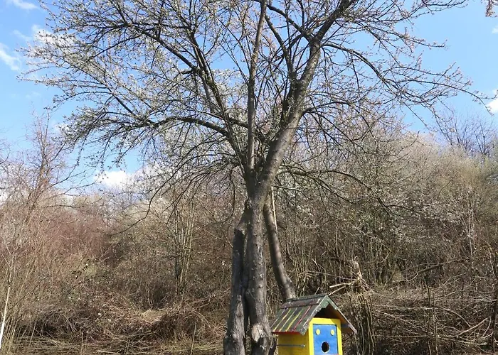 Quiet & Cosy Hillside Hideway Near Bus & Train St *